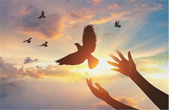 热烈祝贺经贸物流系严妍、刘志清老师被评为同花顺网页版页面先进工作者