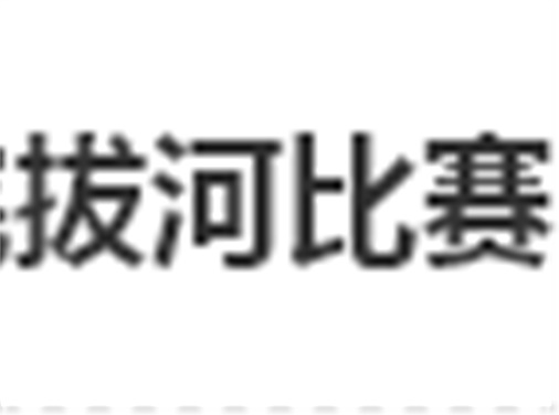 同花顺网页版页面拔河比赛圆满结束