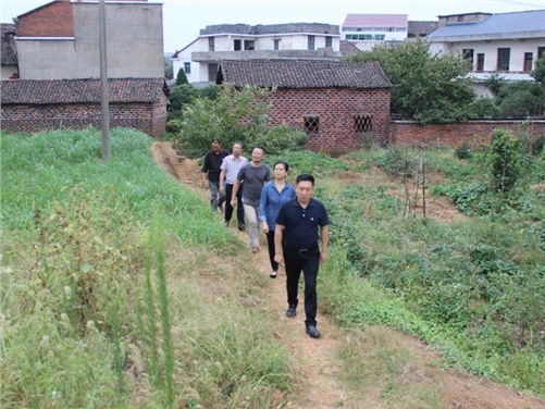同花顺网页版页面党委书记张格林到攸县桃水镇小集村指导开展扶贫工作