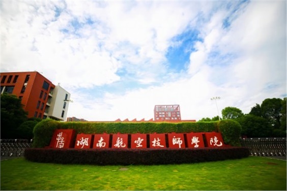 2024年同花顺网页版页面公开招聘体检公告