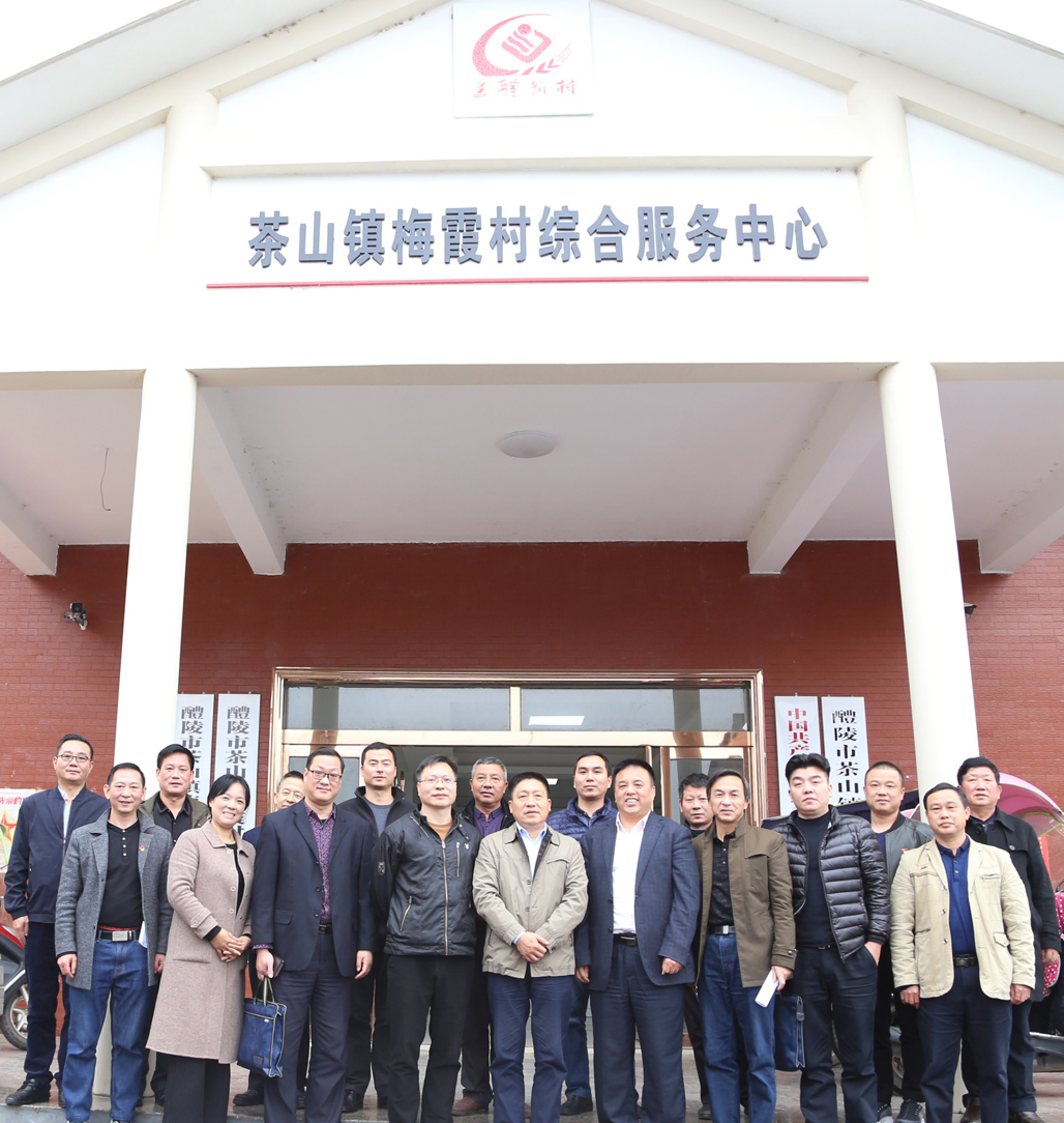 同花顺网页版页面党委书记张格林深入茶山镇梅霞村指导脱贫攻坚工作